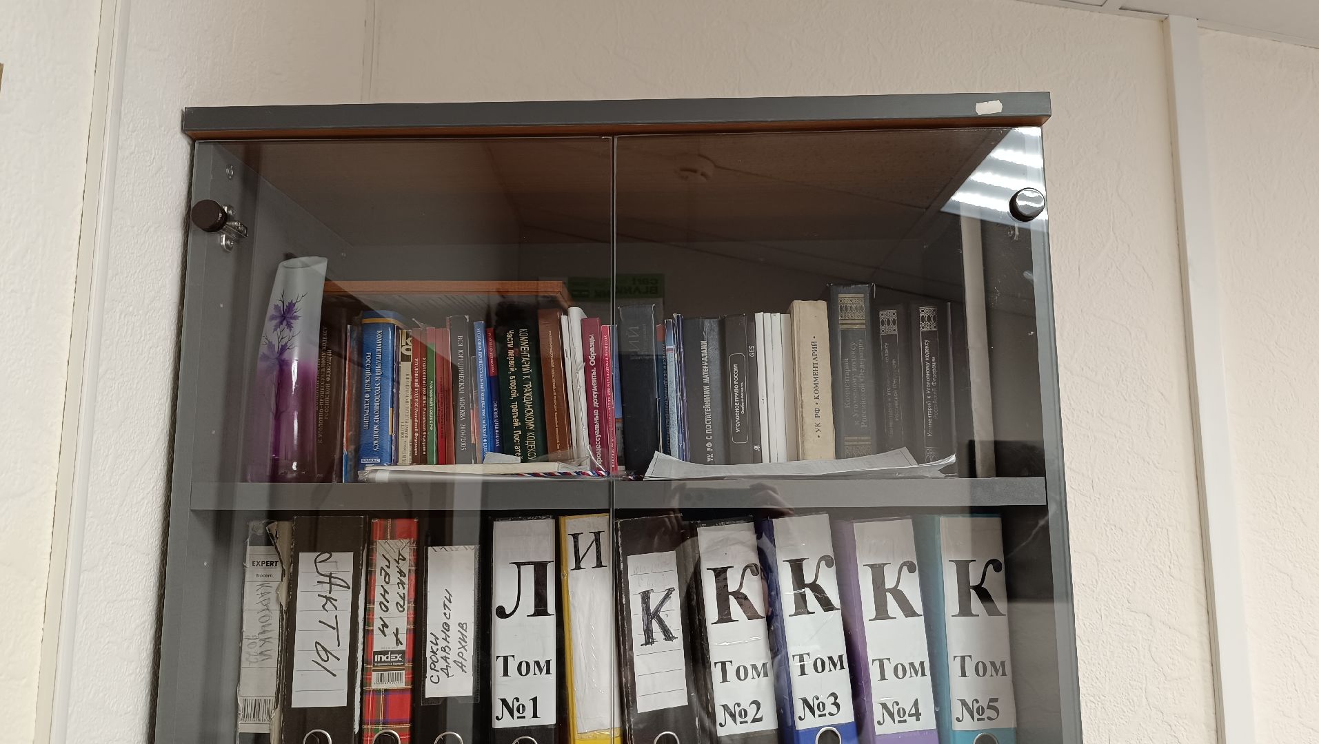 омвд, дети, лобня,