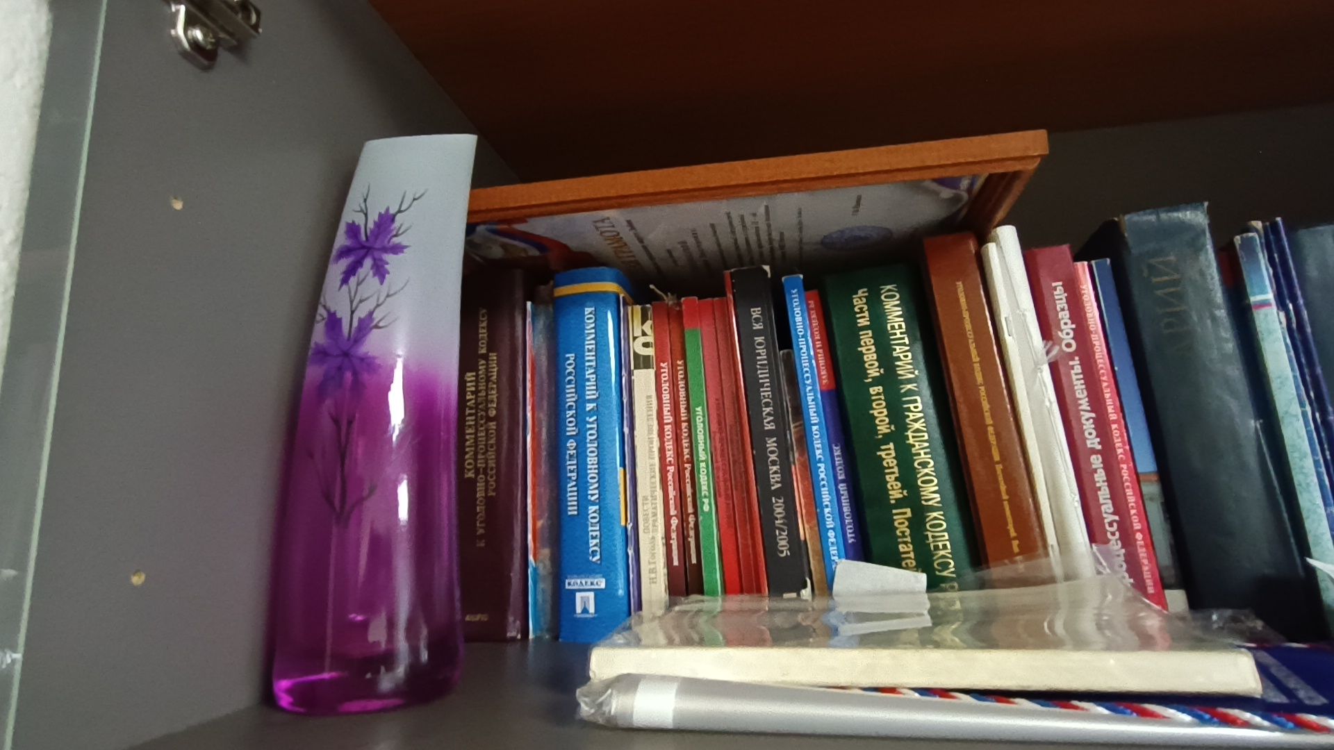 омвд, дети, лобня,