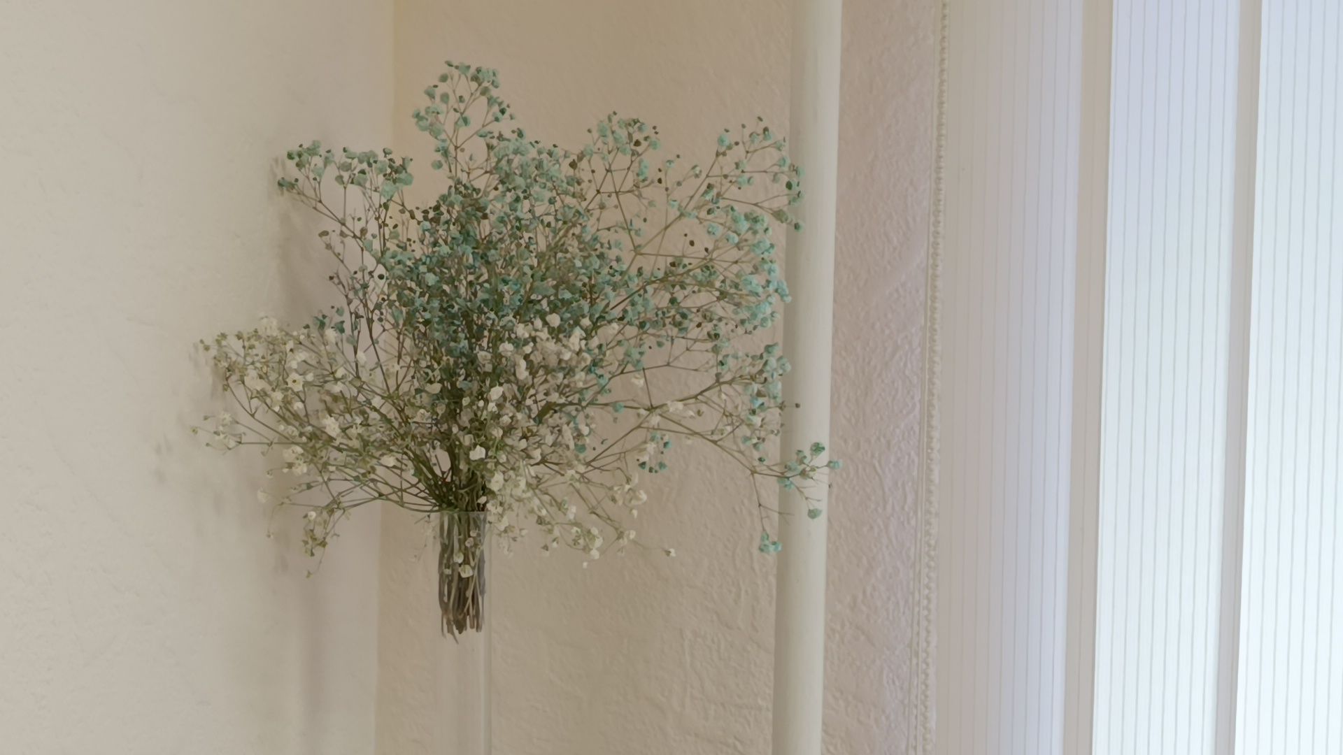 омвд, дети, лобня,