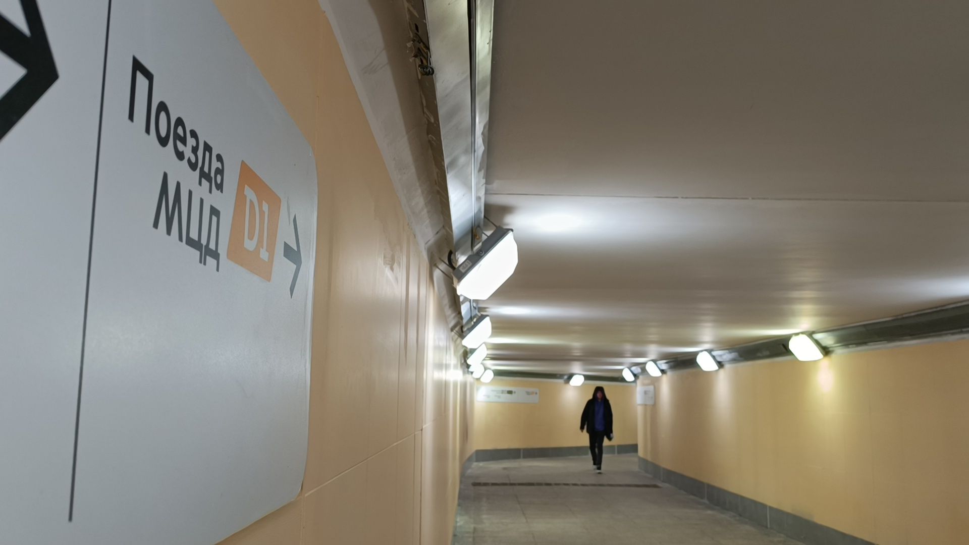 мцд-1, лобня, транспорт,