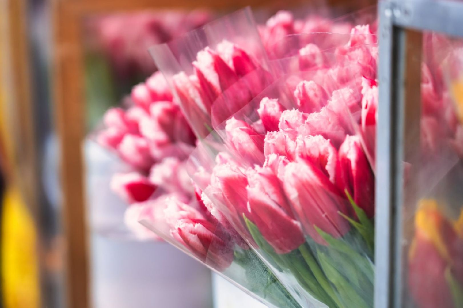 Сергиев Посад, 8 Марта, Праздник, Весна, Цветы, Сергиево-Посадская ТПП,