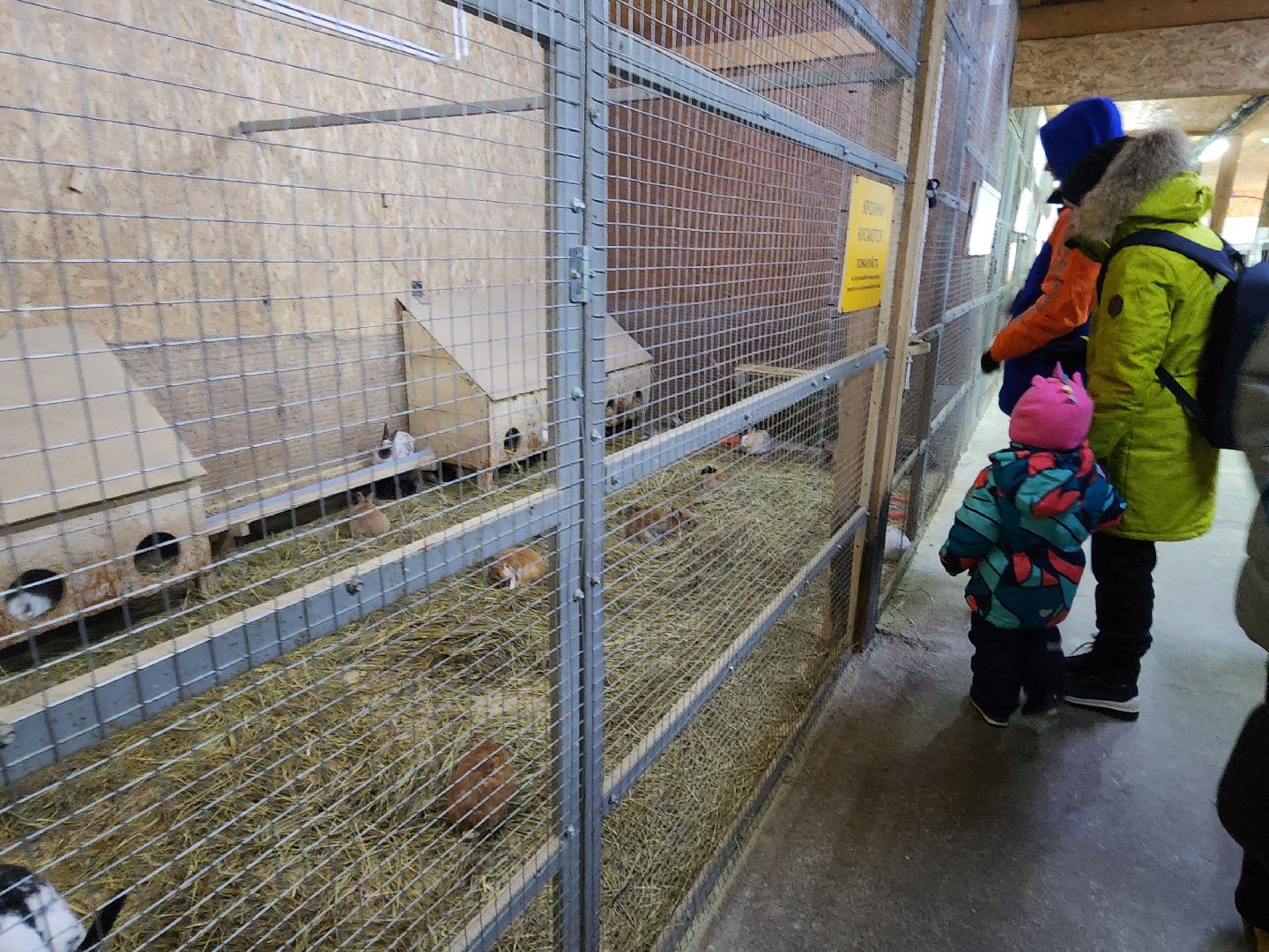 семьи участников сво, 8 марта, сыроварня,