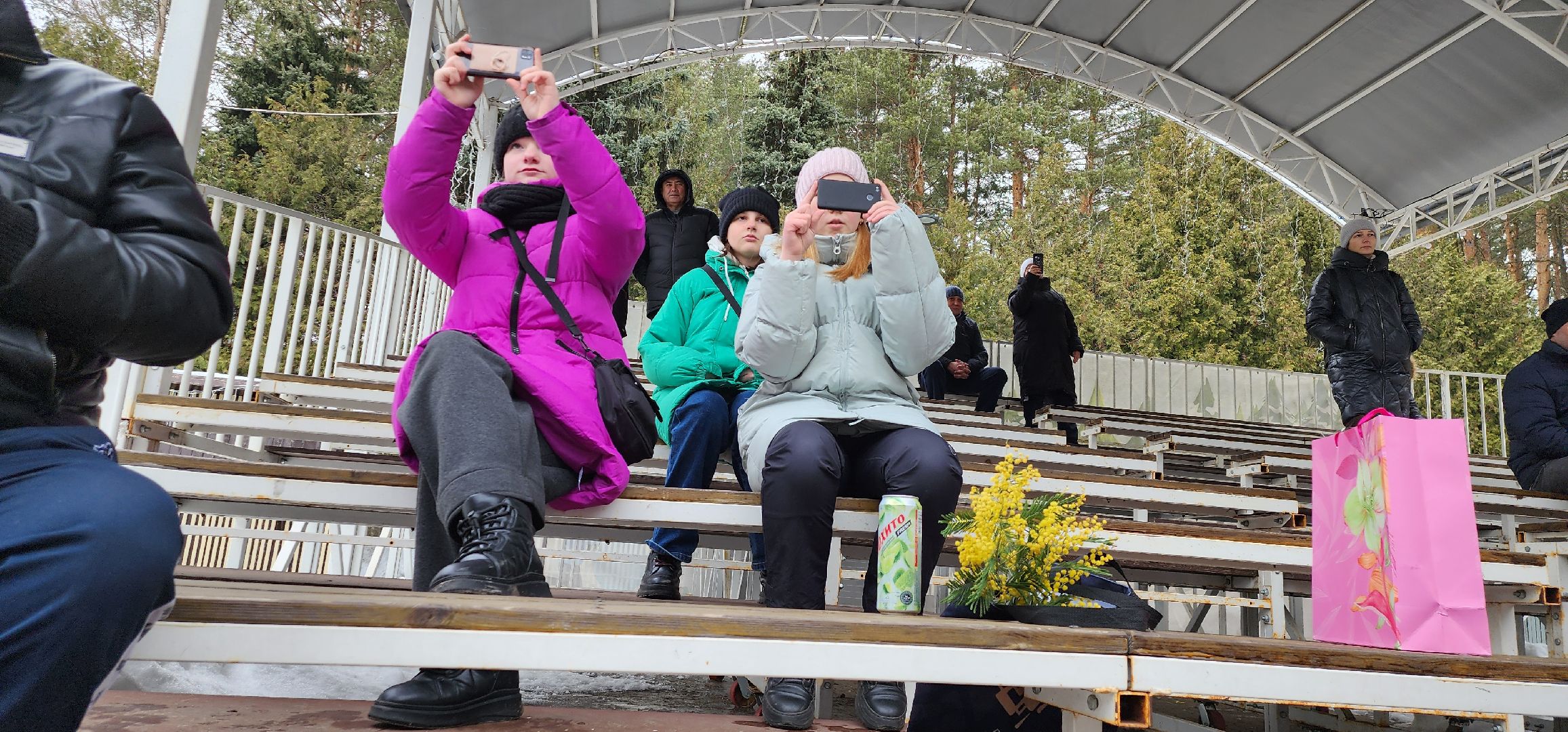 8 Марта, парк Елочки, Домодедово,