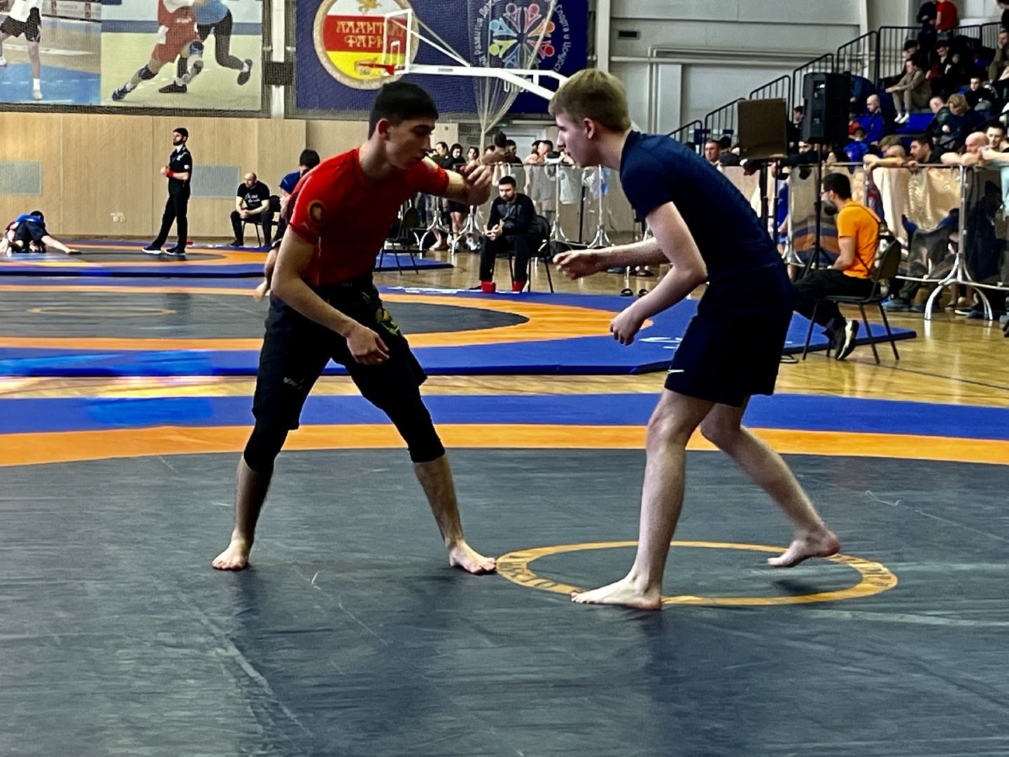 грэпплинг, грэпплинг-ги, наро-фоминск, спорт Московской области, чемпионат московской области,