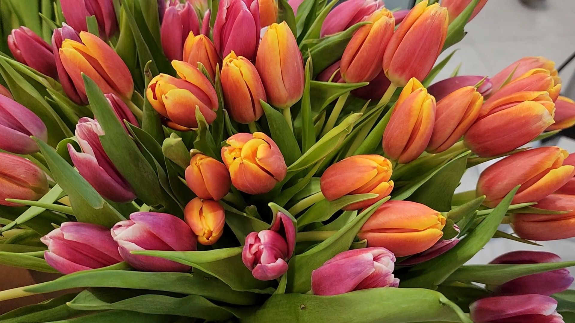 Торговый центр, 8 марта, Праздник, Караоке, Дубна,