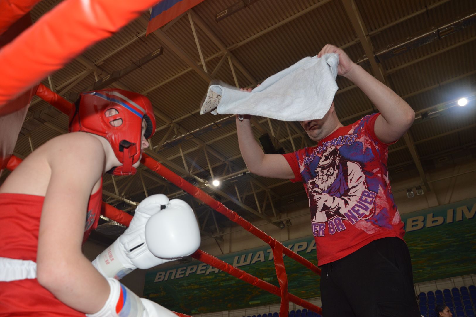 шатура, бокс, первенство московской области по боксу, спорт в подмосковье, городской округ спорт, чемпионат городского округа шатура,