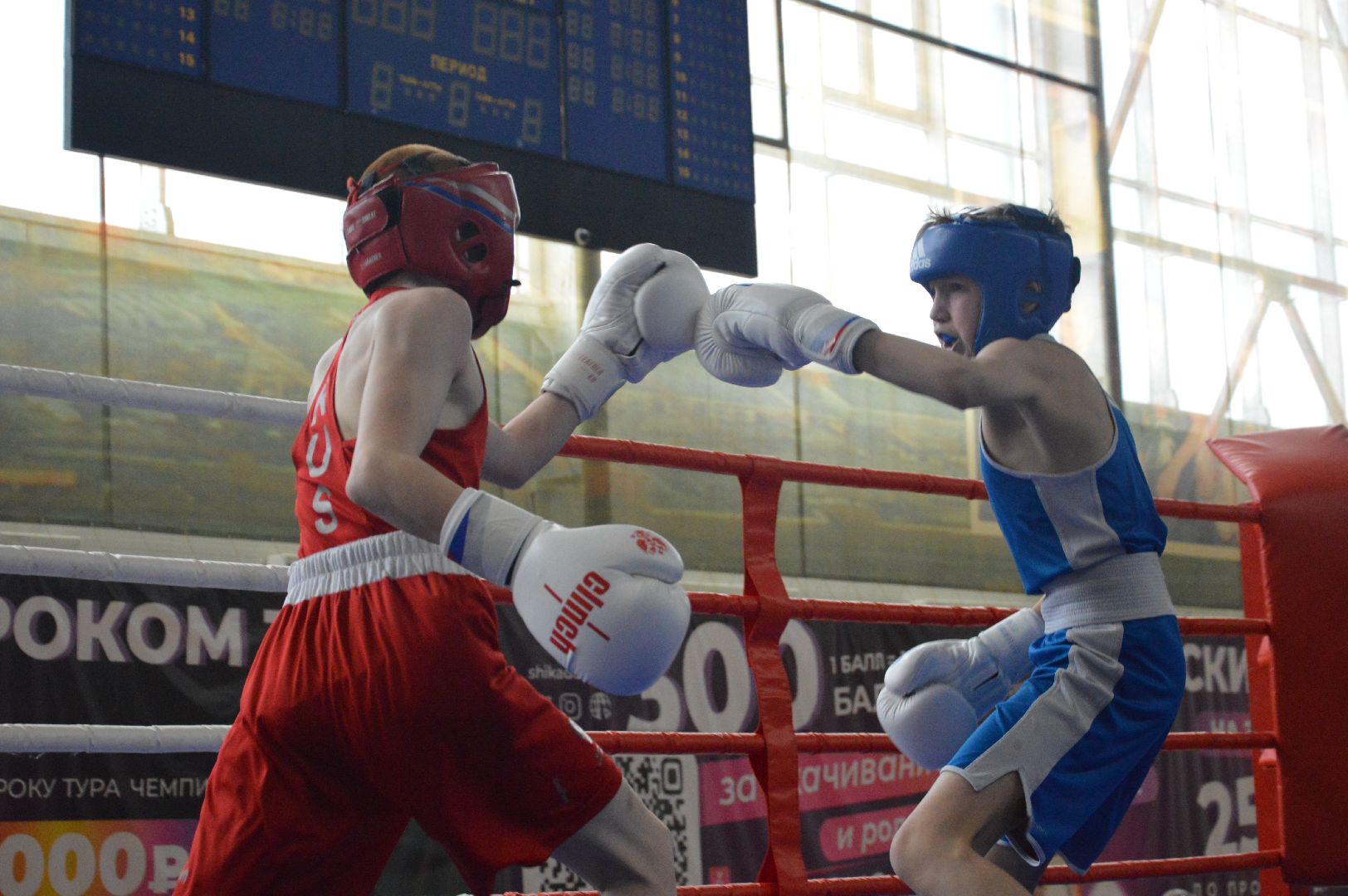 шатура, бокс, первенство московской области по боксу, спорт в подмосковье, городской округ спорт, чемпионат городского округа шатура,
