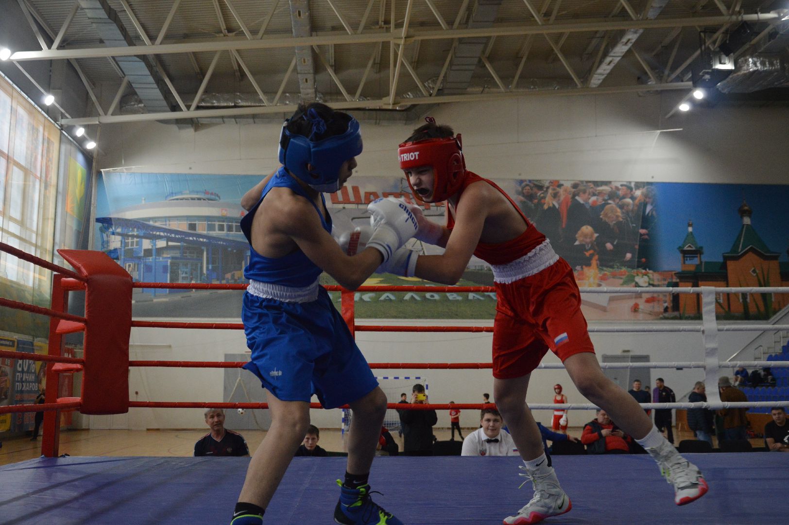 шатура, бокс, первенство московской области по боксу, спорт в подмосковье, городской округ спорт, чемпионат городского округа шатура,