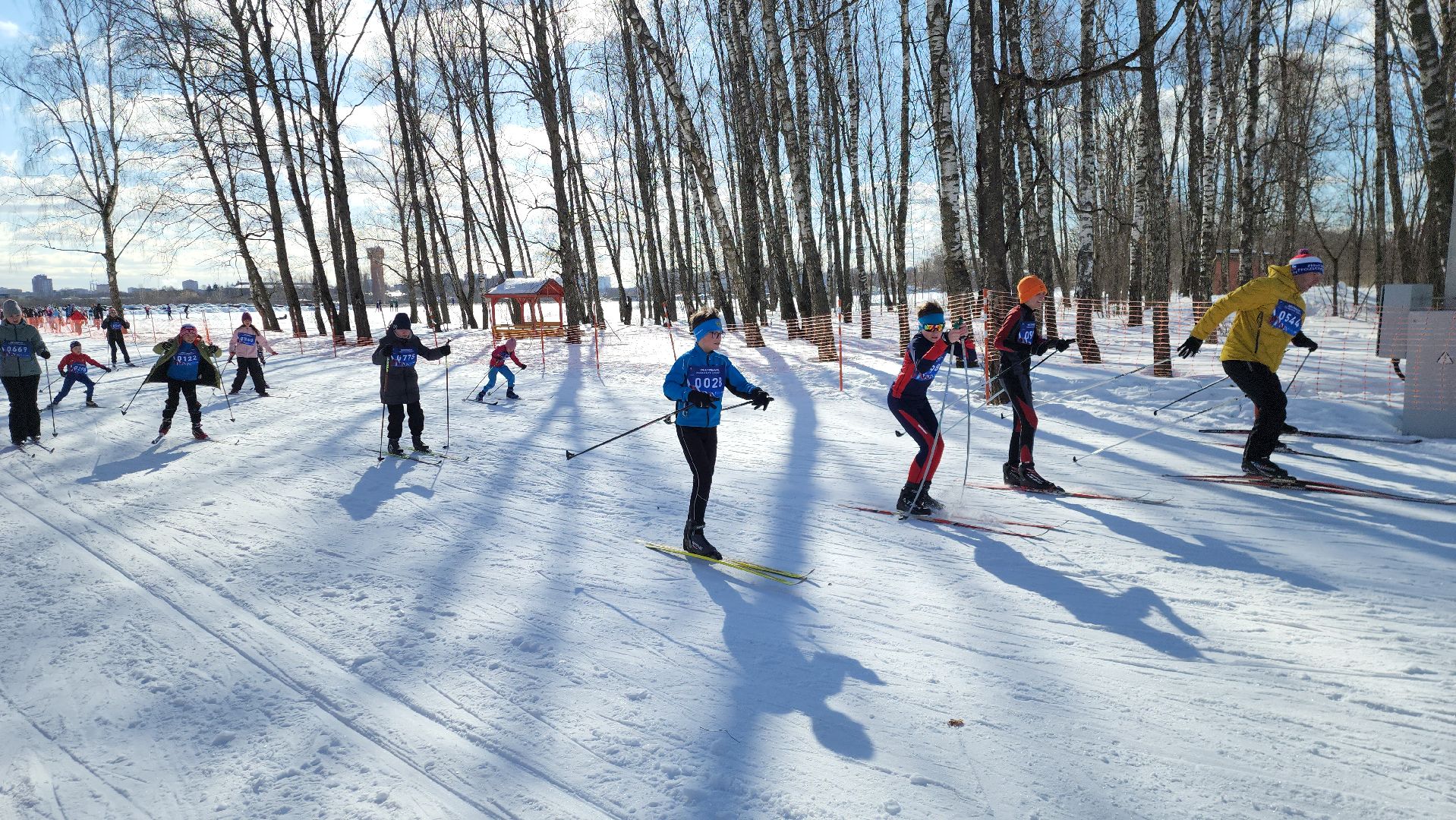 лыжня, Фестиваль,