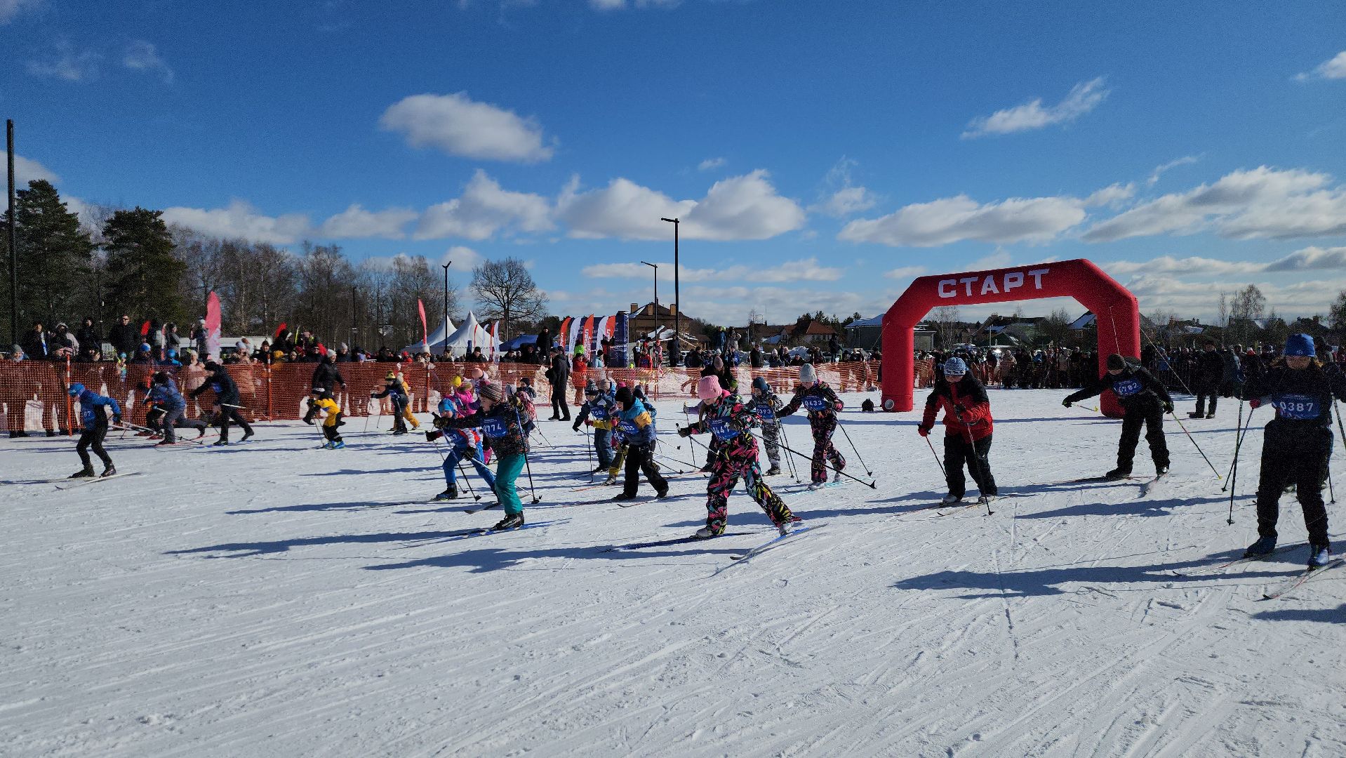 лыжня, Фестиваль,