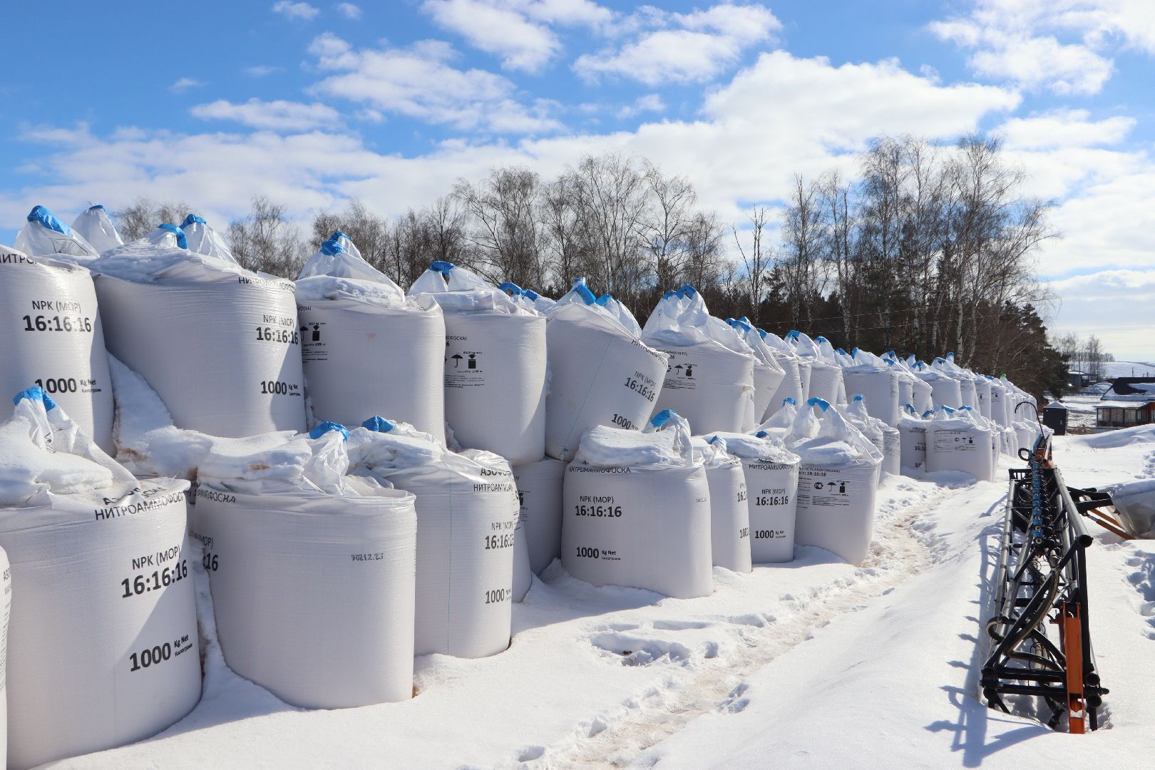 сельское хозяйство, урожай 2024, Серебряные пруды,