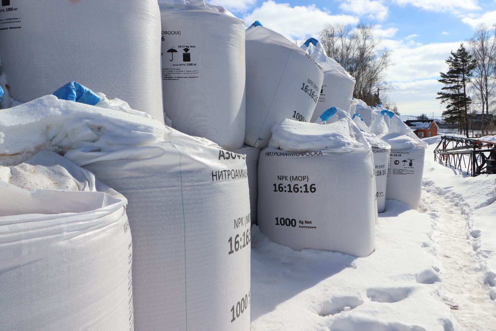 сельское хозяйство, урожай 2024, Серебряные пруды,