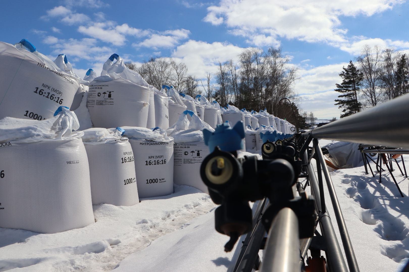 сельское хозяйство, урожай 2024, Серебряные пруды,