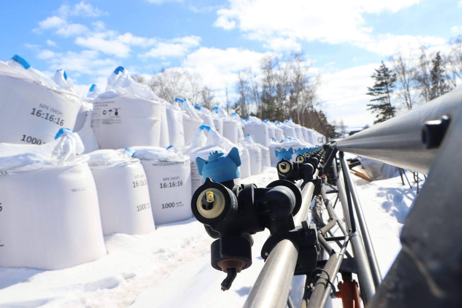 сельское хозяйство, урожай 2024, Серебряные пруды,