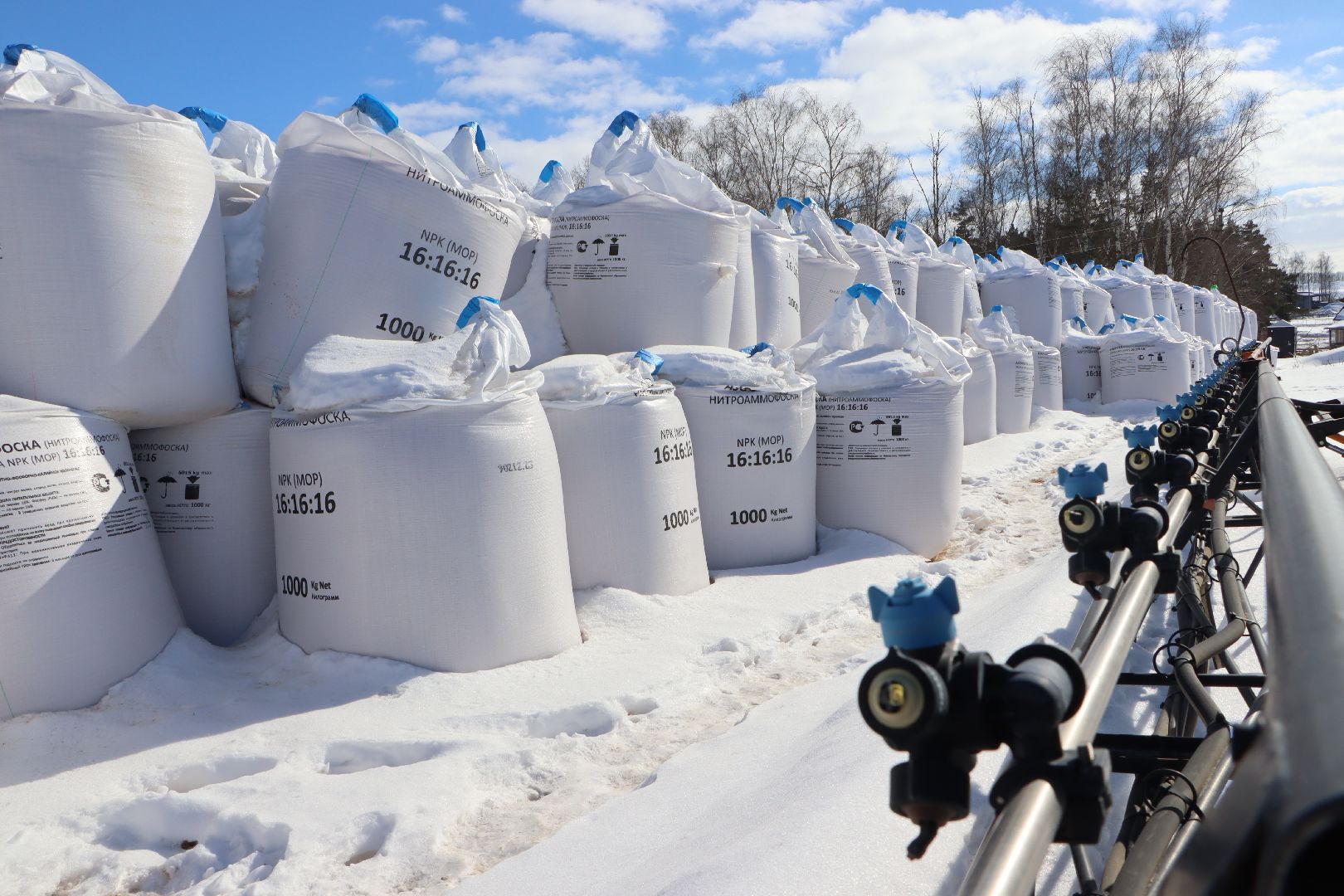 сельское хозяйство, урожай 2024, Серебряные пруды,