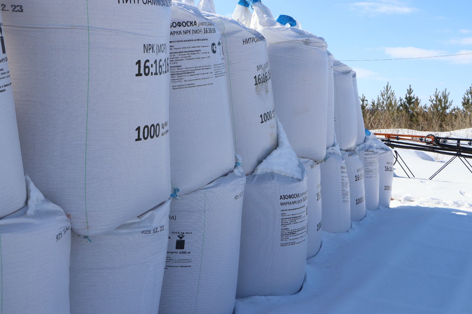 сельское хозяйство, урожай 2024, Серебряные пруды,