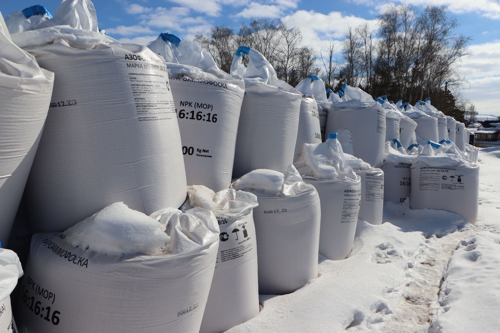 сельское хозяйство, урожай 2024, Серебряные пруды,