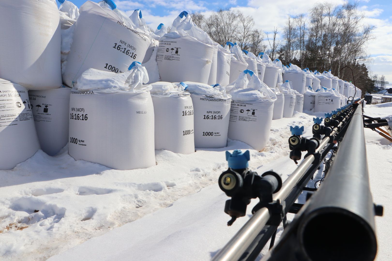 сельское хозяйство, урожай 2024, Серебряные пруды,