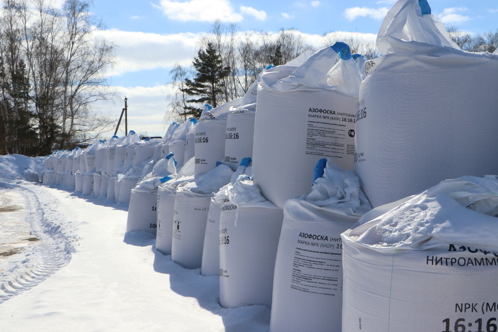 сельское хозяйство, урожай 2024, Серебряные пруды,