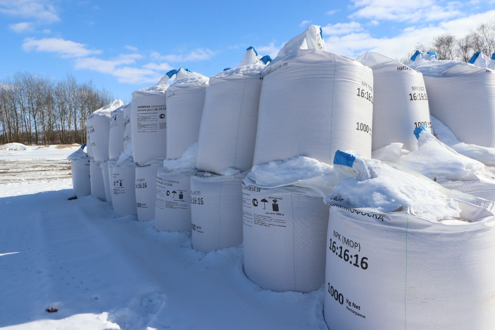 сельское хозяйство, урожай 2024, Серебряные пруды,