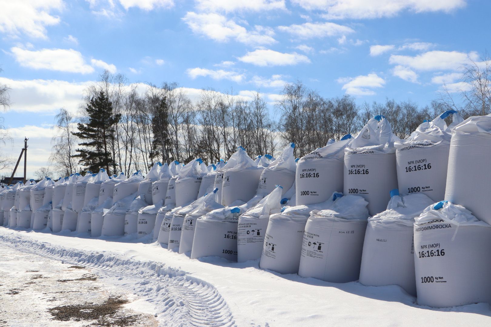 сельское хозяйство, урожай 2024, Серебряные пруды,