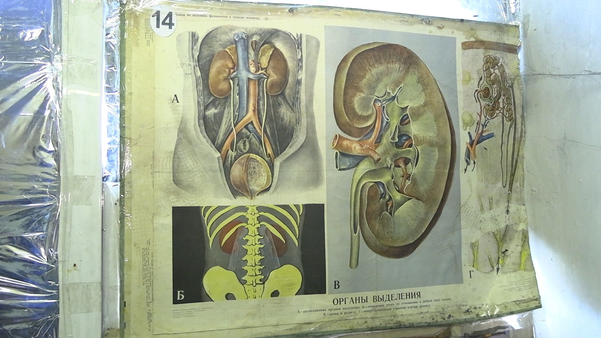 СВО, Одинцово, Немчиновка, спецоперация, медработник, доброволец,
