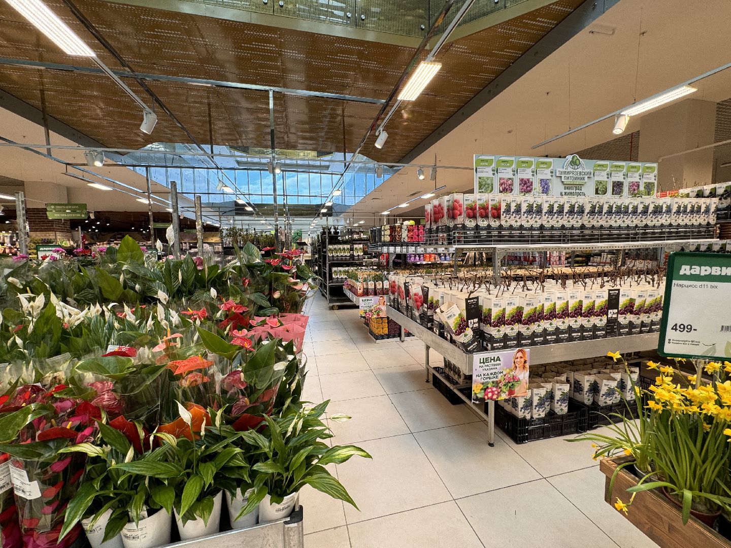 Одинцово, Садовый центр, Экономика,