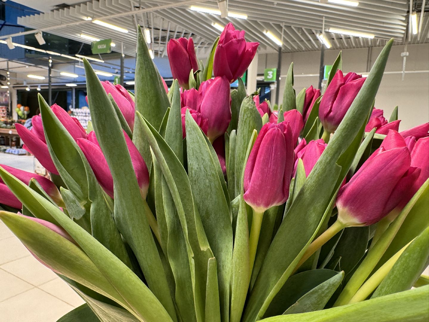 Одинцово, Садовый центр, Экономика,