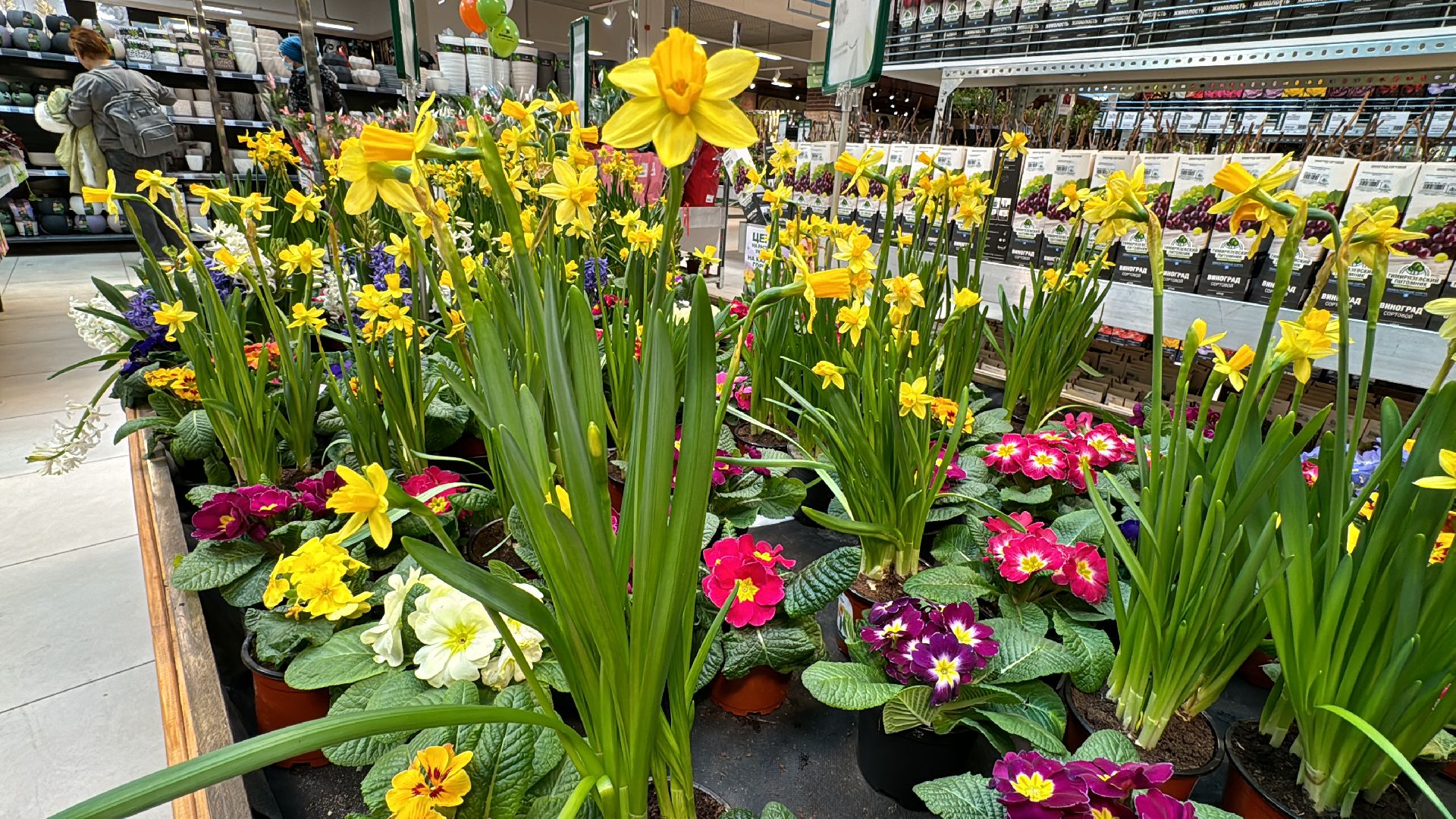 Одинцово, Садовый центр, Экономика,