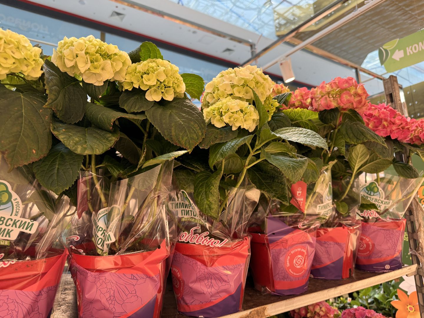 Одинцово, Садовый центр, Экономика,