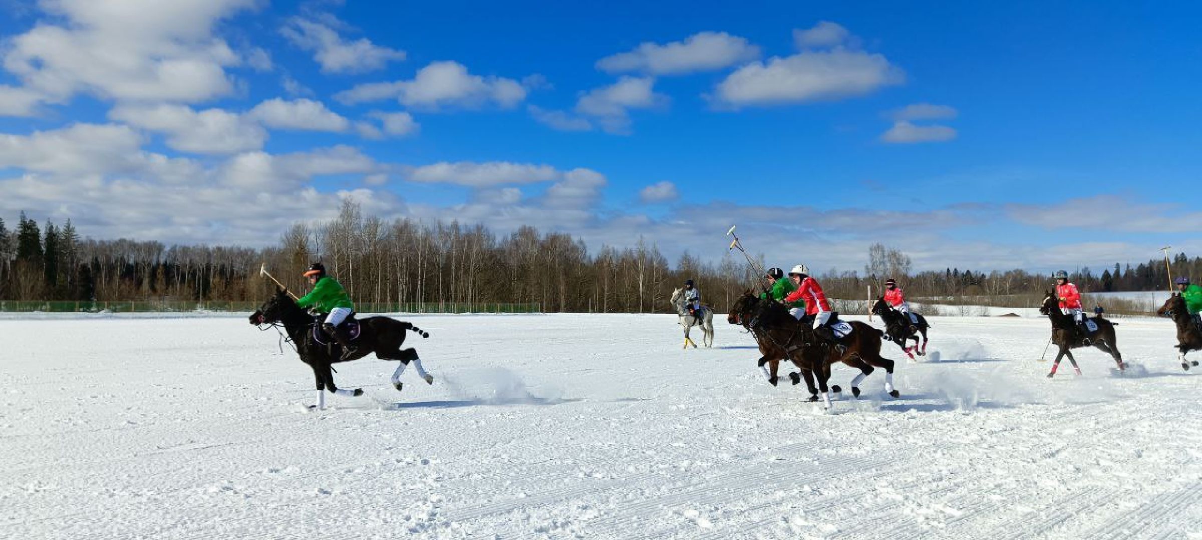 Дмитров, Чемпионат Целеево, Поло на снегу,