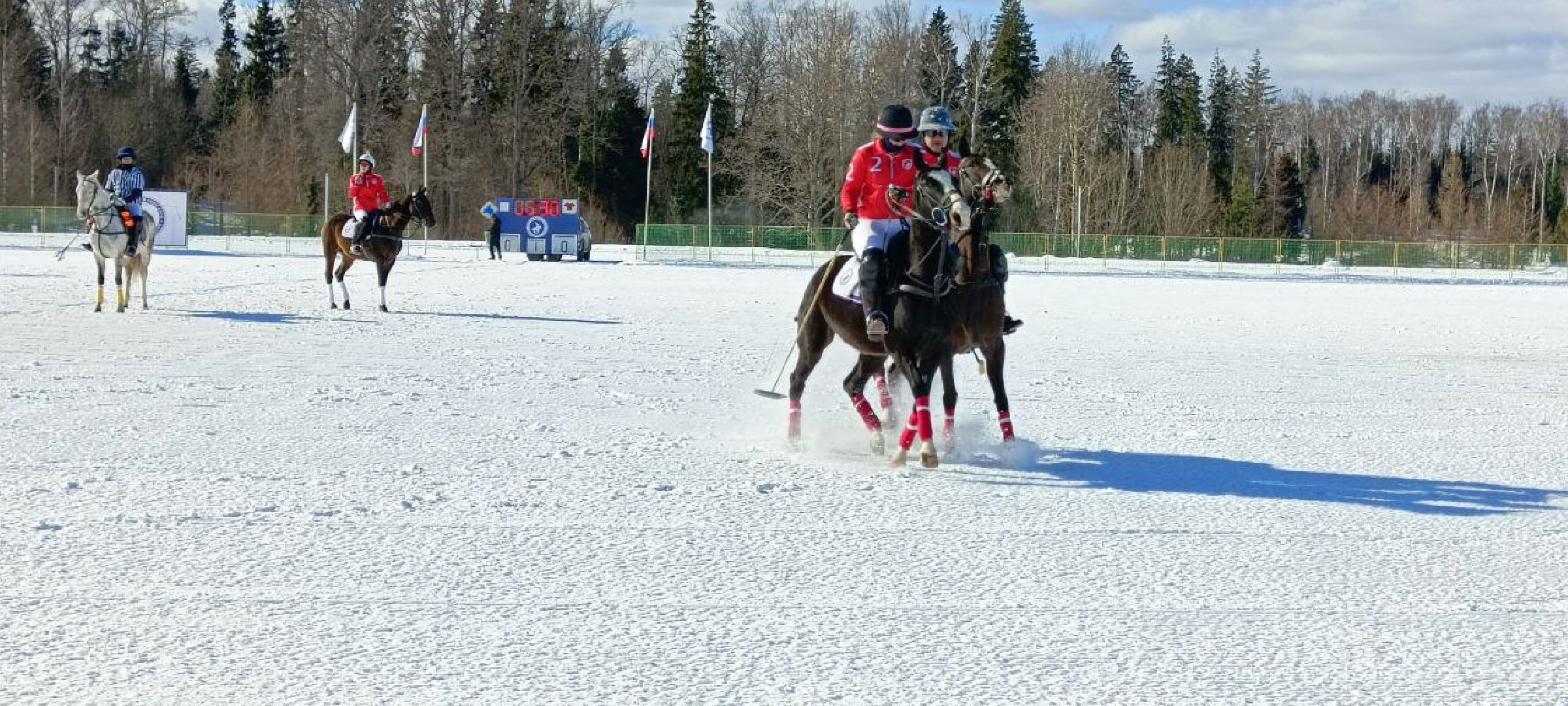 Дмитров, Чемпионат Целеево, Поло на снегу,