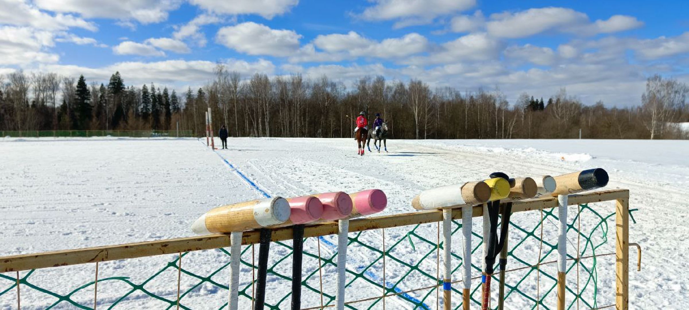 Дмитров, Чемпионат Целеево, Поло на снегу,