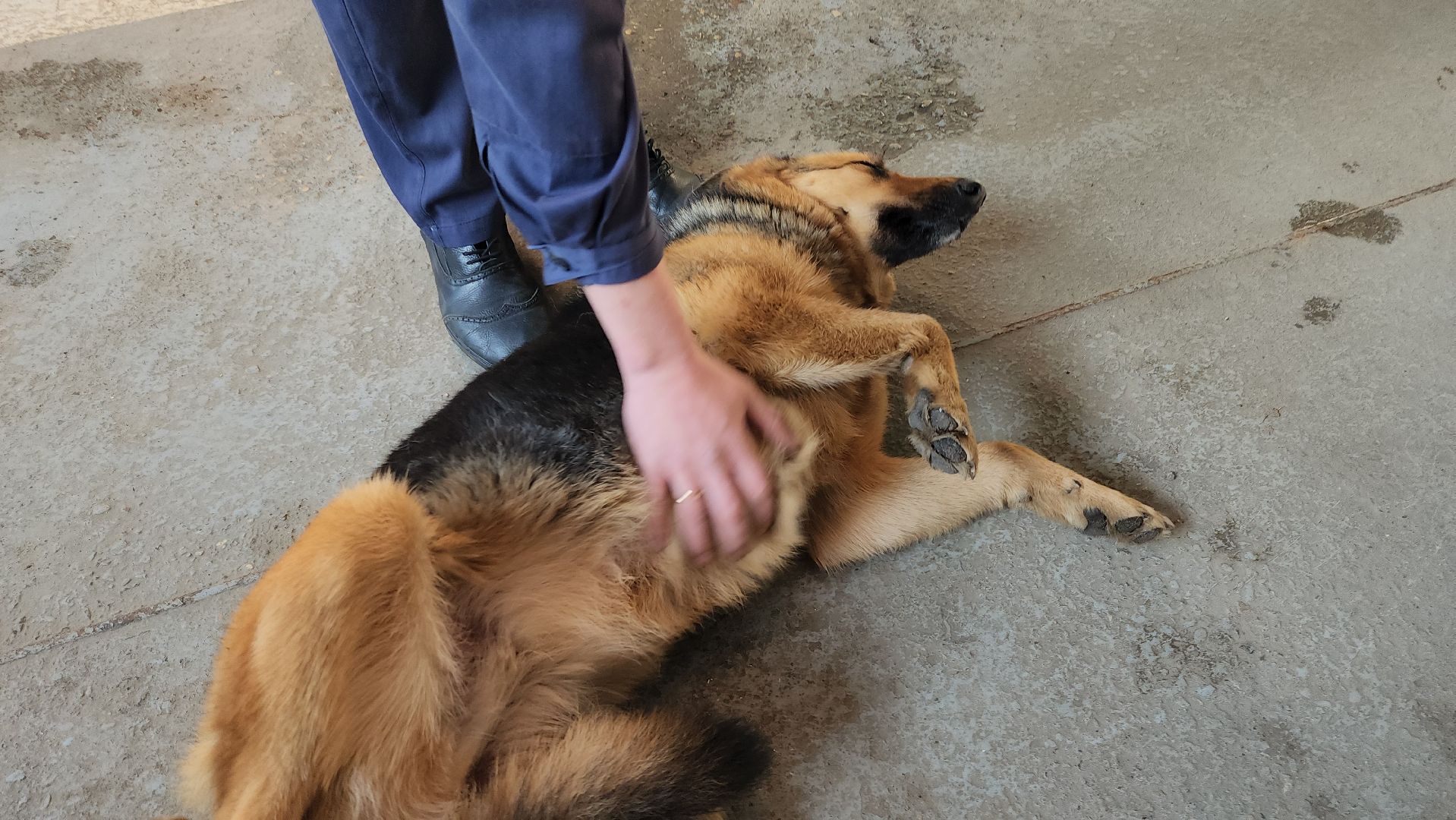 мособлпожспас, спасатели, псч, руза, 312 псч, рузский городской округ, московская область, подмосковье,