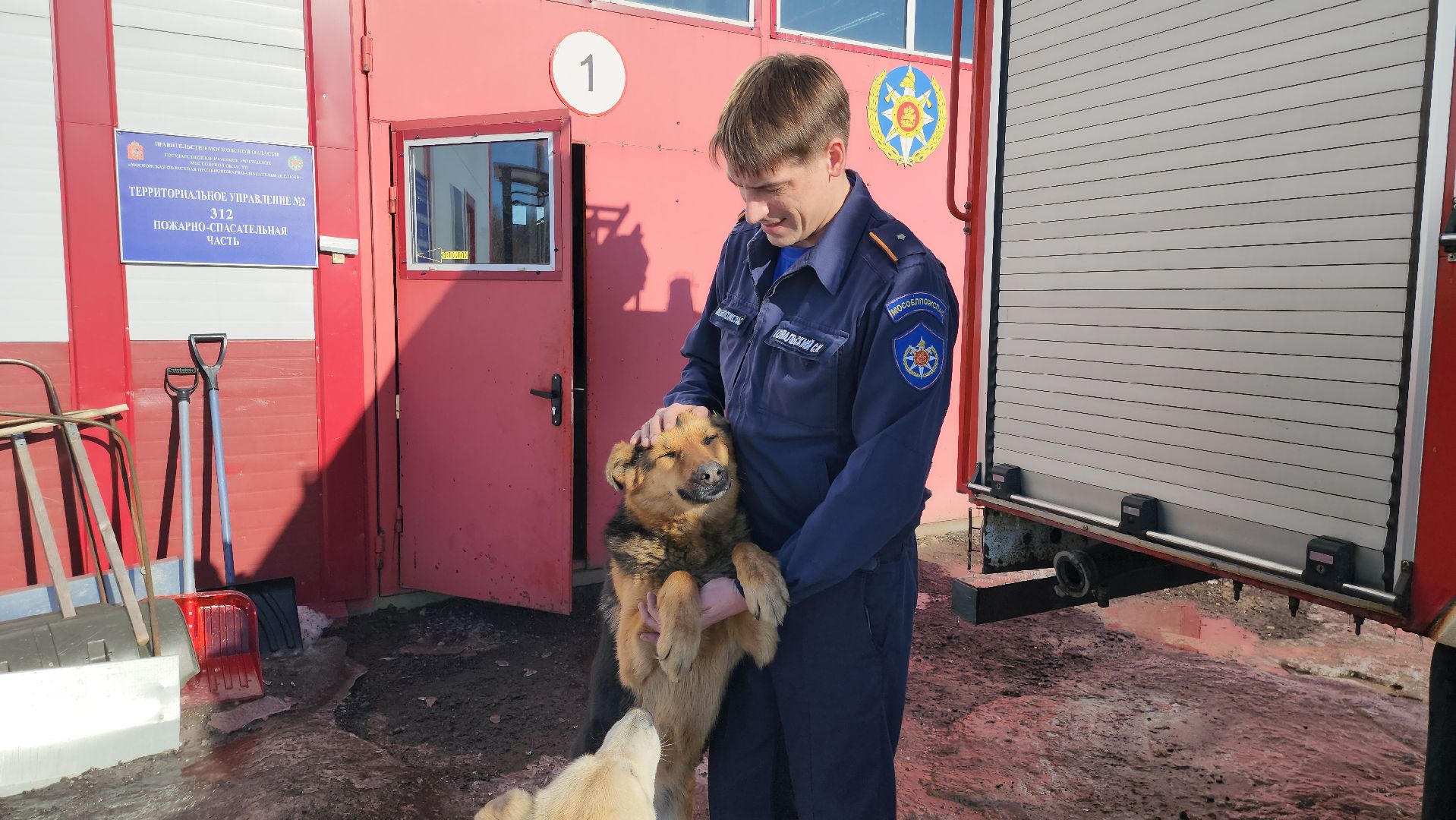 мособлпожспас, спасатели, псч, руза, 312 псч, рузский городской округ, московская область, подмосковье,