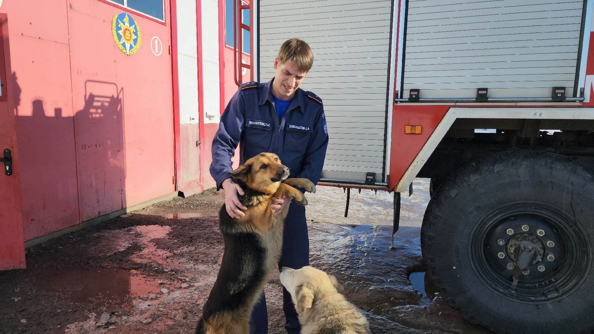 мособлпожспас, спасатели, псч, руза, 312 псч, рузский городской округ, московская область, подмосковье,