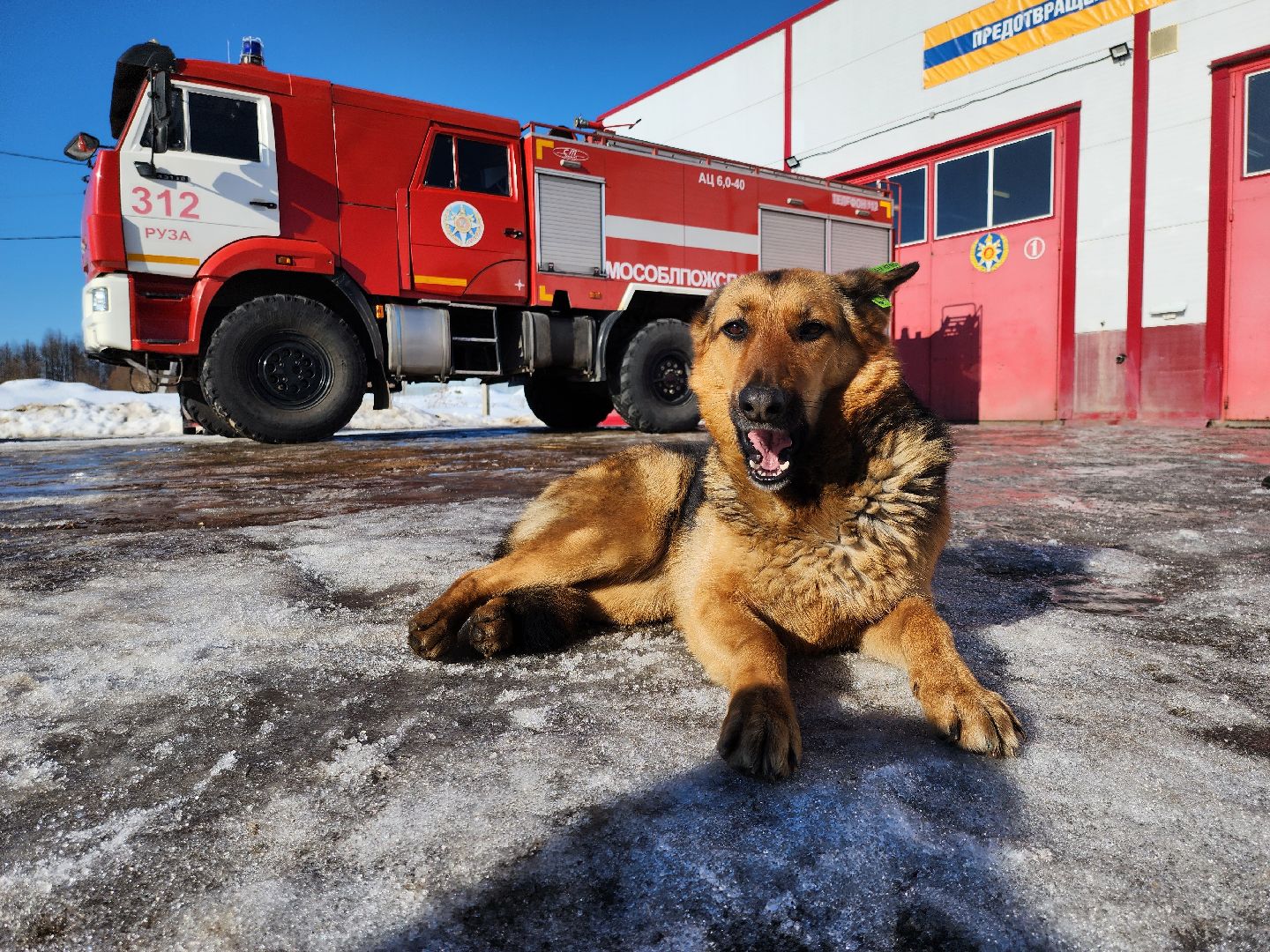 мособлпожспас, спасатели, псч, руза, 312 псч, рузский городской округ, московская область, подмосковье,