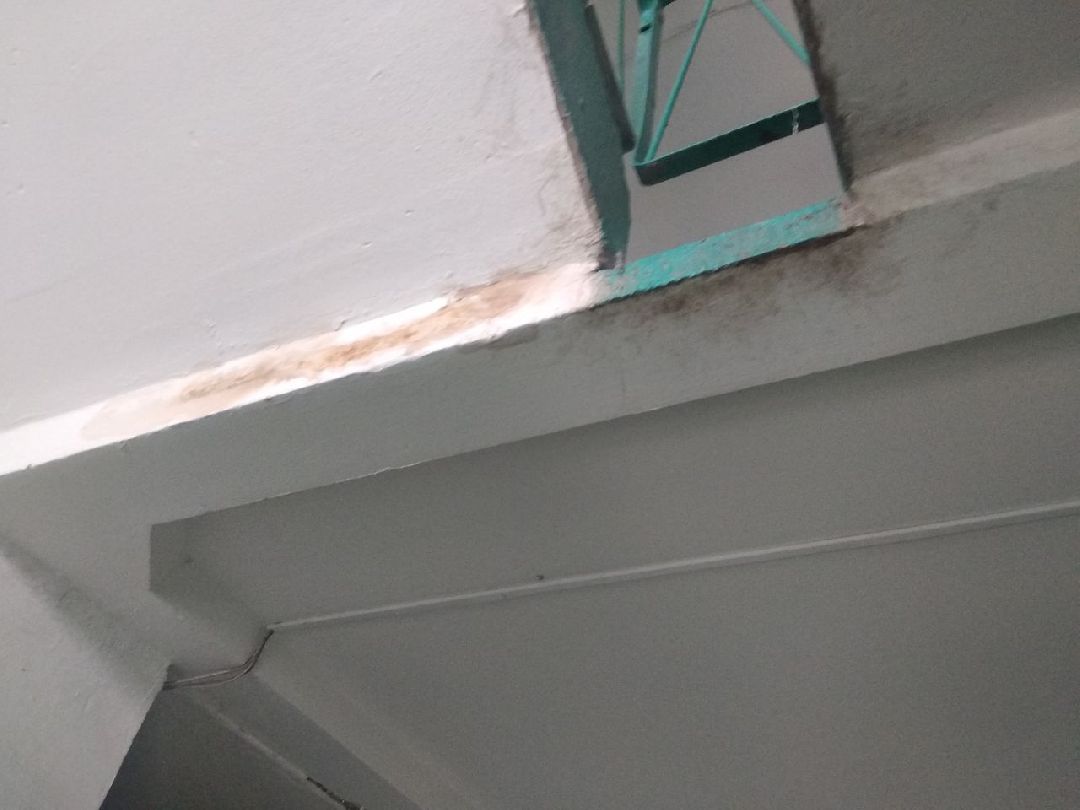 Дмитров, Мой подъезд, Министерство ЖКХ МО