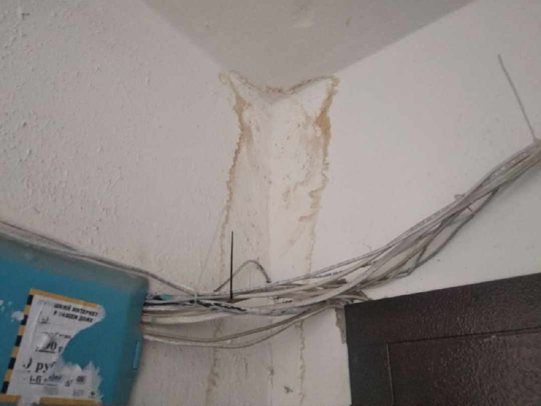 Дмитров, Мой подъезд, Министерство ЖКХ МО