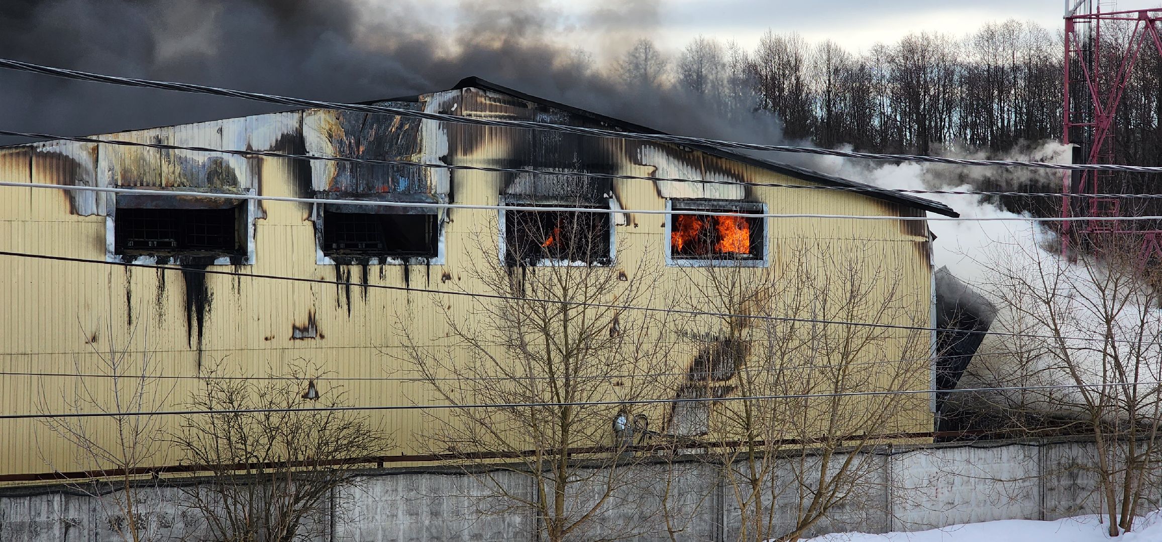 раменское, чп, пожар в родниках,