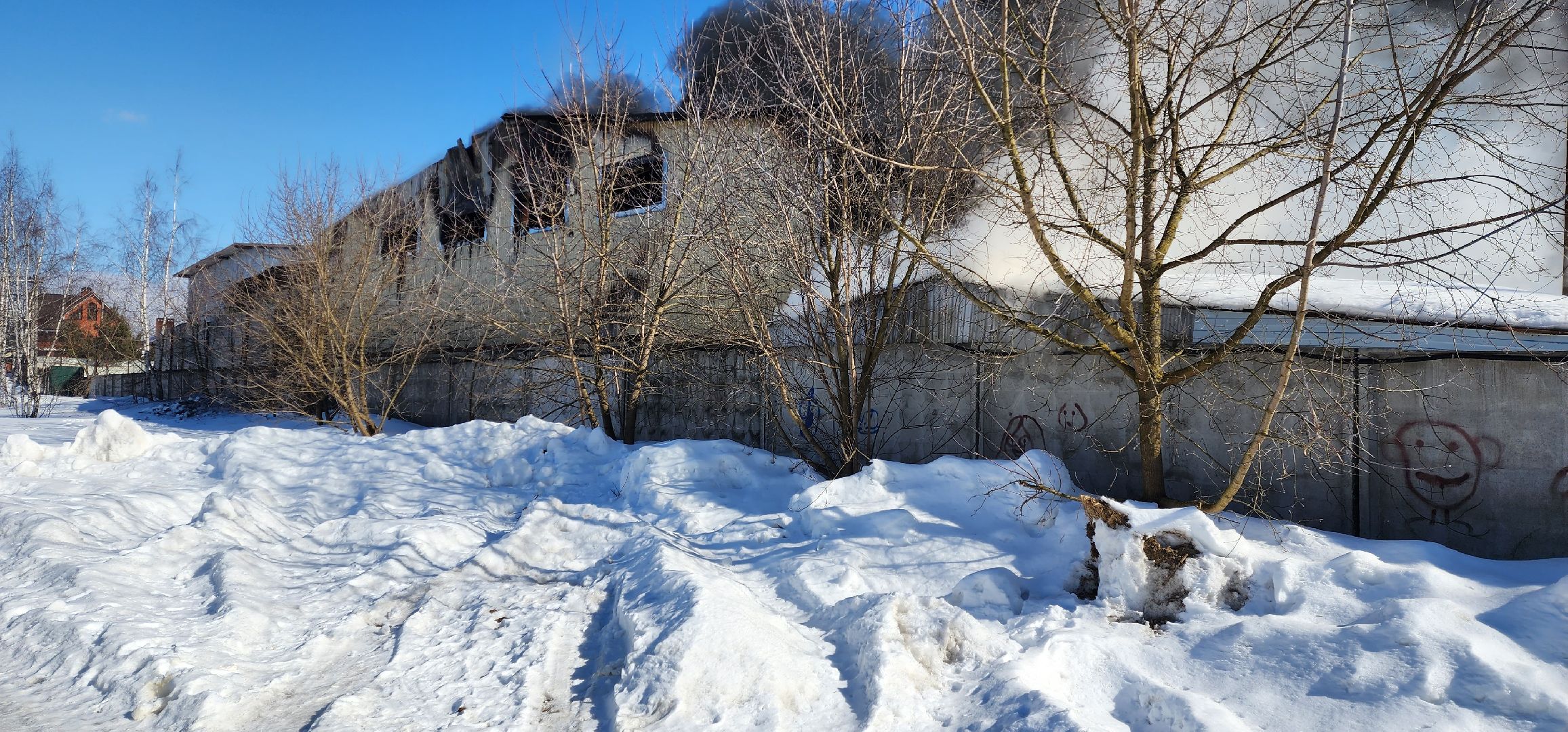 раменское, чп, пожар в родниках,