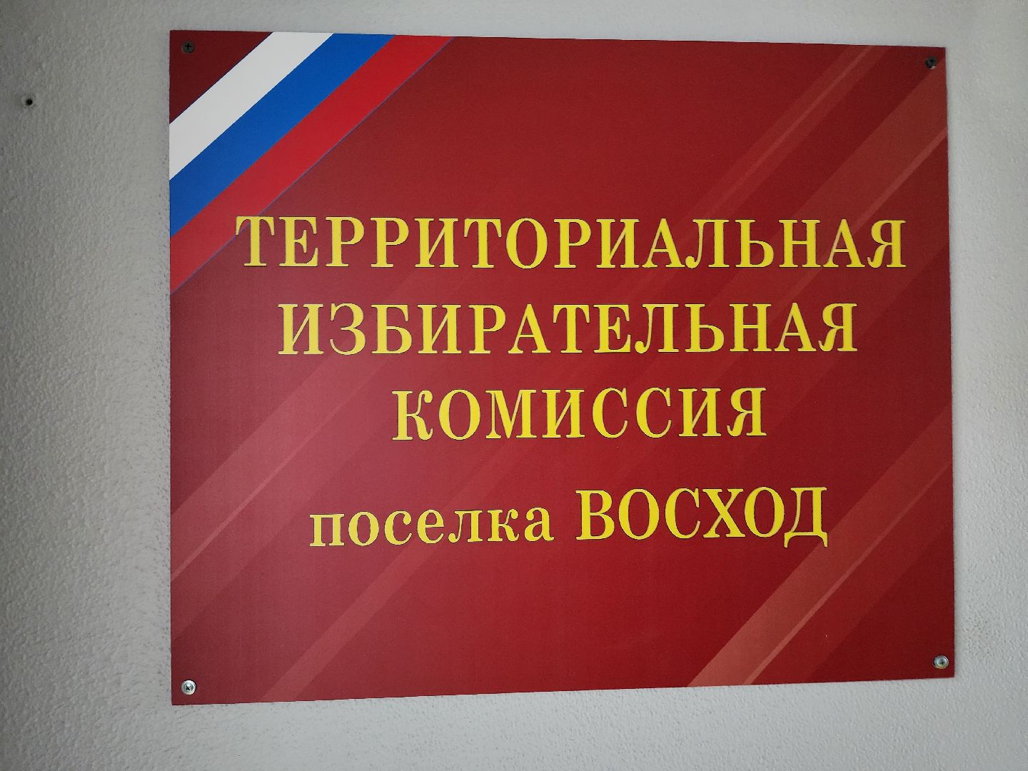 выборы 2024, выборы президента 2024,зато восход,