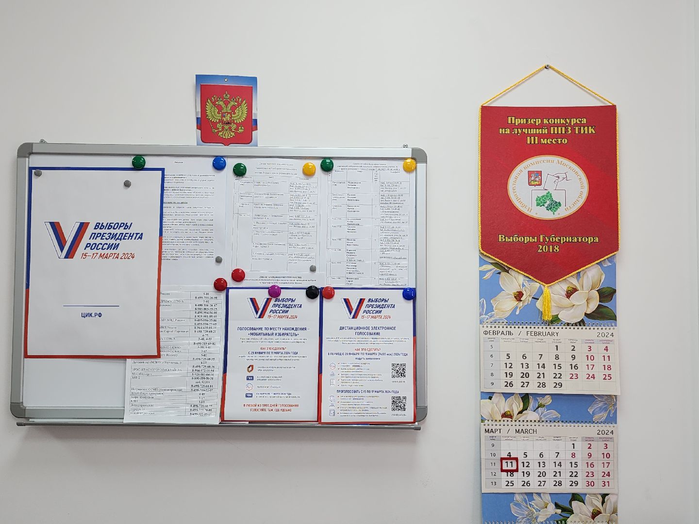 выборы 2024, выборы президента 2024,зато восход,