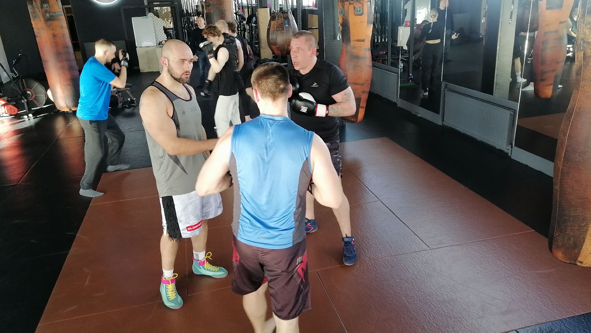 спорт в подмосковье, единоборства,