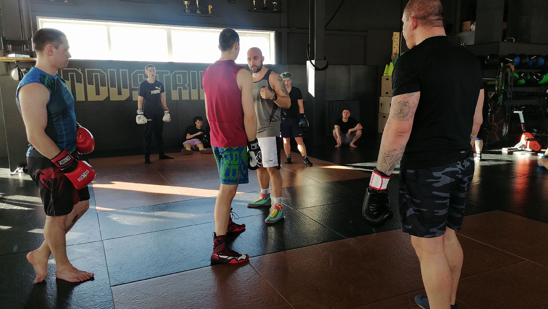 спорт в подмосковье, единоборства,