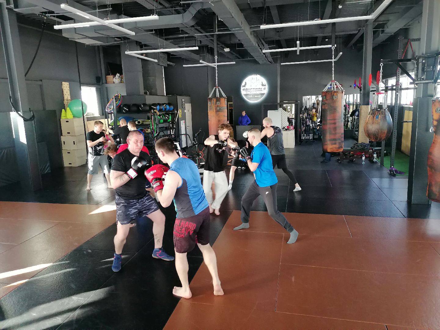 спорт в подмосковье, единоборства,