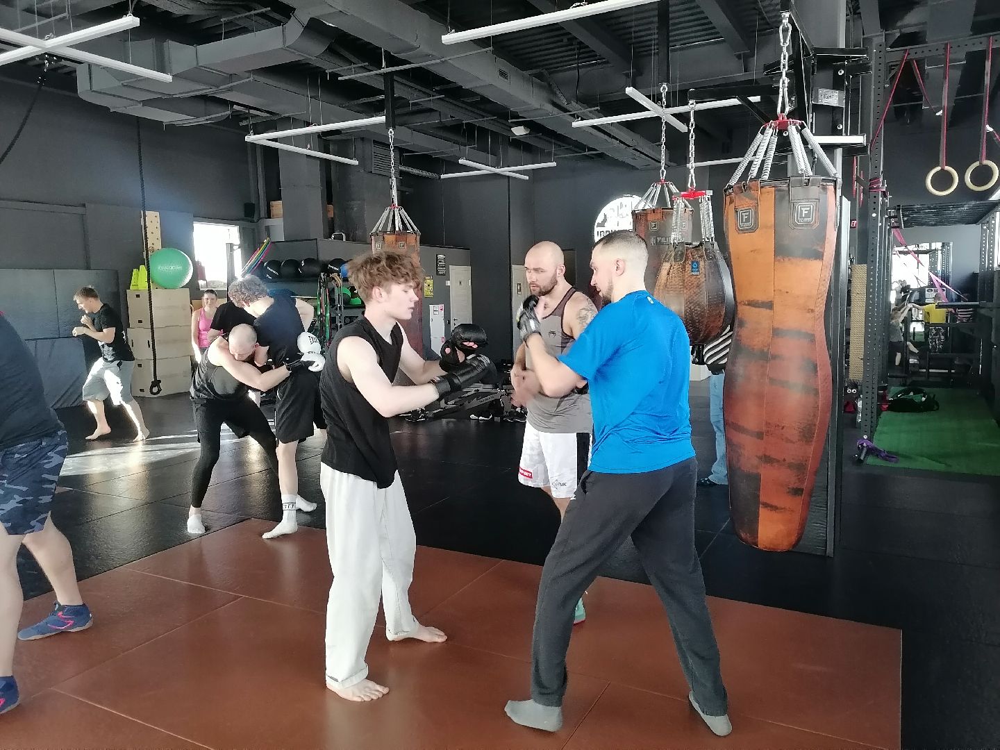 спорт в подмосковье, единоборства,