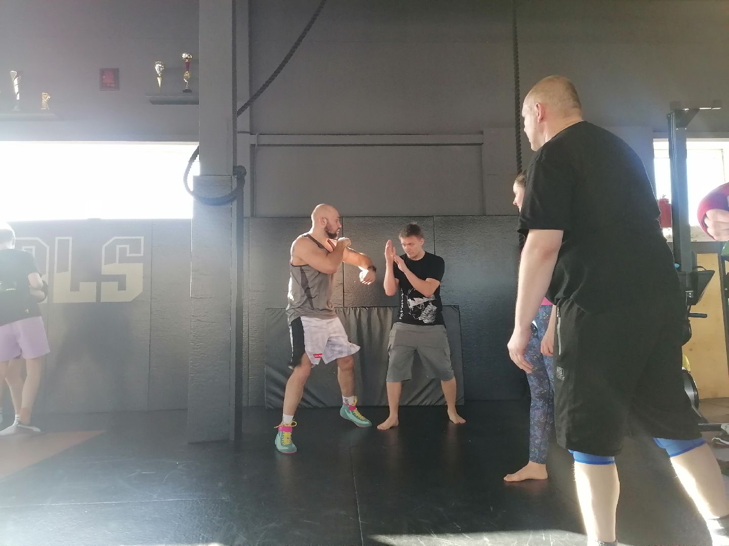 спорт в подмосковье, единоборства,