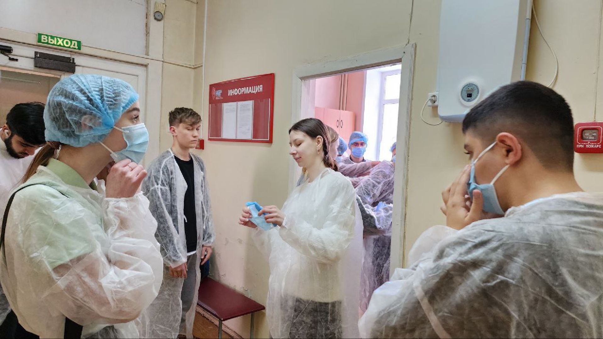 люберцы, учебный год, егэ, техникум, школа,