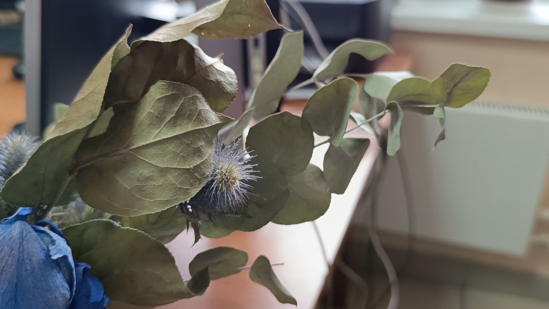 омвд, полиция, лобня,